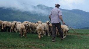 Παραδοσιακή γιορτή στο Περδικάκι αφιερωμένη στην κτηνοτροφική κληρονομιά του τόπου (Σαβ 8/8/2026 21:30)