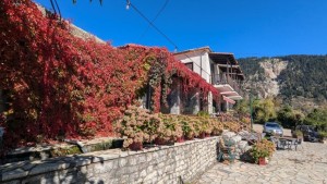 Γιορτή κάστανου στο Αργυρό Πηγάδι (Σ/Κ 24-25/10/2026)